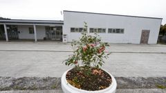 La asociaci&oacute;n vecinal fue quien detect&oacute; el problema