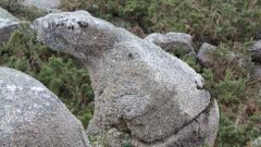 �Unha pedra topou no cami�o e nela sentouse... E o sapo cantaba ?cro, cro?�. Penedo chamado do Sapo, en Vimianzo