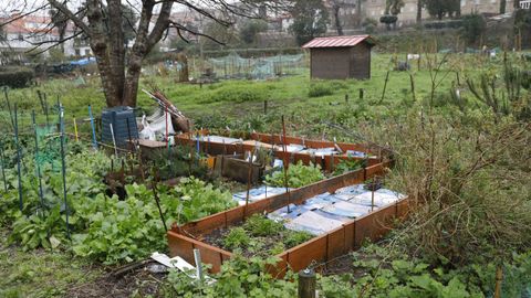 Huerta urbana municipal en As Hortas