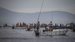 �lbum de fotos: �As� fue el comienzo de la campa�a marisquera en Noia!