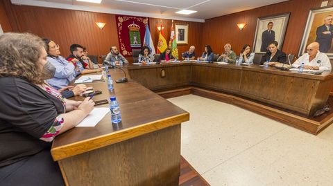 Imagen de archivo del pleno de Cee