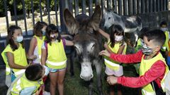 Imagen de archivo de un campamento de verano en Rianxo