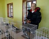 Pi�eiro, en la Exposici�n da Pomba Mensaxeira celebrada en A Pobra el fin de semana.