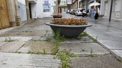 En la acera situada a la entrada de la iglesia del Socorro, la hierba se abre paso entre las losetas