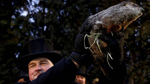 La marmota Phil pronostica que el invierno terminar� pronto en Estados Unidos.