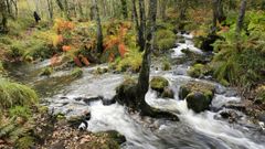 Vista do r�o Mera, nos arredores de Lugo