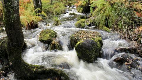 La Ruta dos Muiños sigue el cauce del río Mera