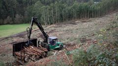 La actividad forestal est� presente en muchas comarcas de Lugo