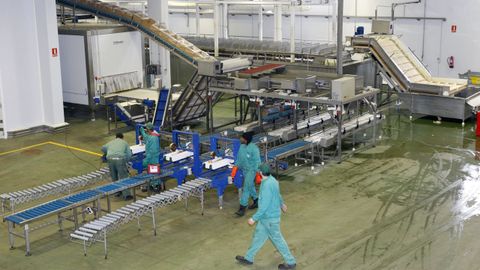 Instalaciones de Pescados Rubén, en imagen de archivo