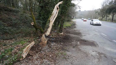 Lugar del Paseo do Rato en el que falleci&oacute; un joven la pasada madrugada al chocar contra un coche el veh&iacute;culo que conduc&iacute;a