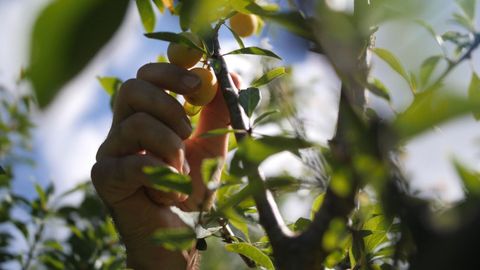 Promover el empleo en el rural es uno de los objetivos de N�s Rural