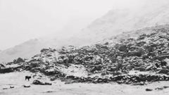 Nieve en el Refugio del Meic�n en pleno mes de junio