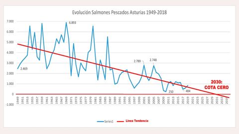 Evolucin de las capturas de salmones y proyeccin hasta 2030