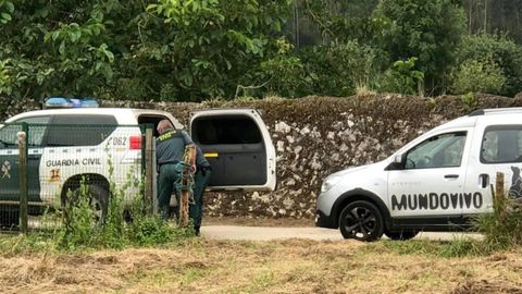 Intervencin en la finca llanisca en la que aparecieron cadveres de una veintena de ovejas