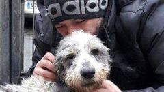 �ngel Ambrosio con uno de los animales del albergue