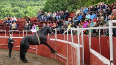 Exhibiciones ecuestres en Triacastela y Friol