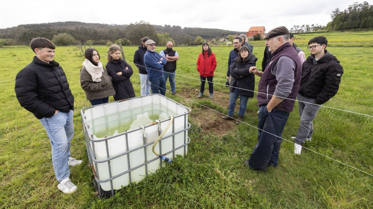 Quince personas aprendieron sobre la pradería para el vacuno de leche en Coristanco y Cabana