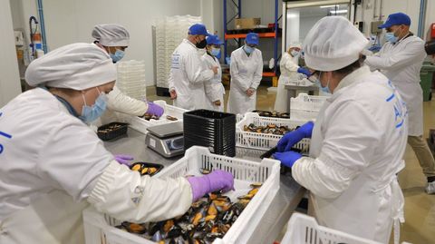 La conselleira Marta Villaverde, al fondo, acudi a la planta de Alumar, en Barro.