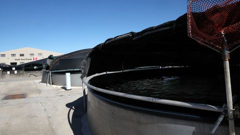 Tanques de la piscifactor�a de Lira