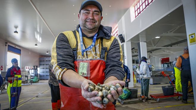 Roberto Sieira, mariscando en la campaa de Noia durante su perodo de descanso y antes de regresar a Angola