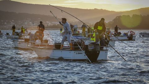 Mariscadores a flote en Noia