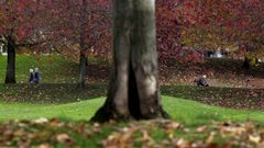 Oto�o en un parque de A Coru�a