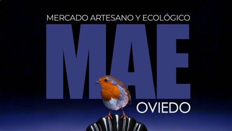 Cartel del �ltimo Mercado Artesano y Ecol�gico de Oviedo, dedicado al Camino de Santiago.