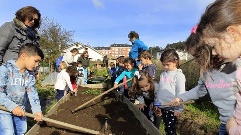 A metade dos desperdicios que xeramos poder�anse converter en compost para nutrir a terra