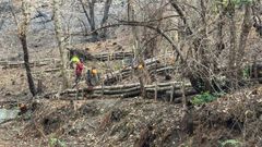 Trabajos para evitar los arrastres de ceniza y lodo de los incendios.