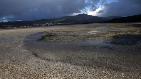 A principios de esta semana, un manto de berberechos muertos cubri� la playa de Testal.