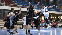 Las mejores im�genes de la exhibici�n del Cisne en su vuelta