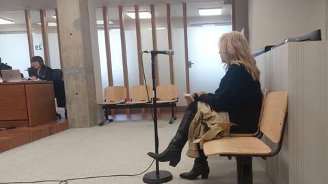 Juicio a una empresaria de Vigo acusada de un delito de frustraci�n de ejecuci�n de un embargo de Hacienda.�En la Audiencia de Pontevedra