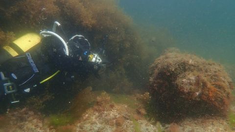 Imagen de archivo de una inmersi�n de los buzos en la zona donde est�n los restos la fragata Magdalena, en la r�a de Viveiro