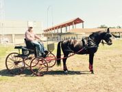 El lalinense Manuel Nistal es el �nico gallego que participa