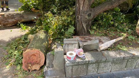 Campo de San Francisco