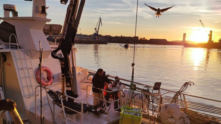 Un cerquero descargando en el puerto de A Coru�a en junio del 2026.