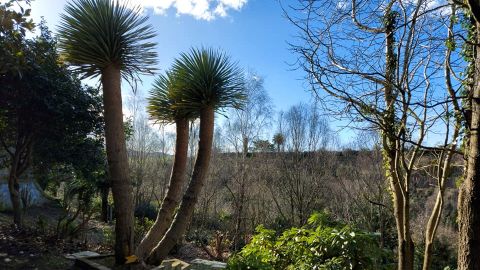 El jardn de la Fonte Baixa, en Luarca, cuenta con una amplia variedad de rboles