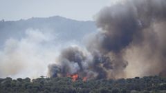 Columna de humo del incendio forestal que se ha declarado en Bisbal del Ampurd�n (Girona).