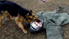 Un perro polic�a norcoreano ataca a un mu�eco con la cara del ministro de Defensa surcoreano