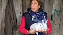 Nace en Xinzo un conejo sin orejas