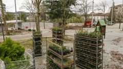 Arbustos preparados para su plantaci�n en la zona pr�xima al parque infantil.