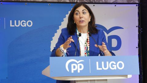 Pulpada del PP provincial de Lugo