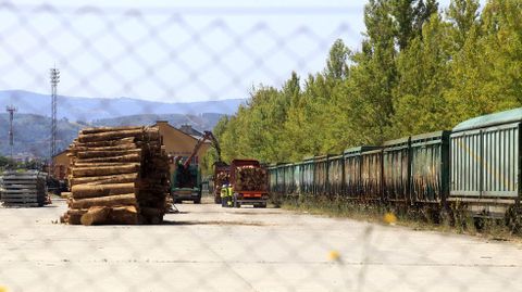Carga de madera en un tren de mercanc�as en el puerto seco de Monforte