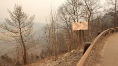 As qued la zona de Vilarello (Cervantes) tras el incendio de mediados de mes