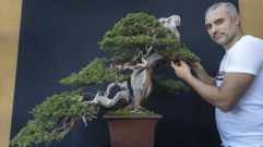 Alberto Baleato, de Kingii Bonsai, posa con el ejemplar con el que obtuvo el �ltimo premio nacional de evoluci�n. �Es decir, al que cogi� la planta m�s fea y la hizo m�s bonita�, dice el dubr�s, quien logr� que su padre Manolo descubra una afici�n que lo mantiene ocupado en su jubilaci�n y los une m�s que nunca. 