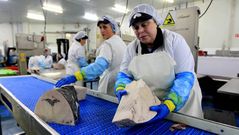 Instalaciones de Fandicosta