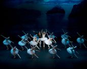 Los bailarines representar�n la obra cl�sica de Tchaikovsky.