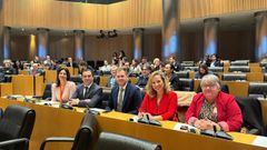 De izquierda a derecha, Amparo Agrait, directora de Relaciones Institucionales e Internacional de Unef; Manuel Arg�elles, director general de Energ�a y Minas de la Comunidad Valenciana; Federico Miralles, director general de Energ�a y Actividad Industrial y Minera de Murcia; Belarmina D�az, directora general de Energ�a y Miner�a de Asturias y Yolanda Vall�s, directora general de Energ�a y Minas de Arag�n.