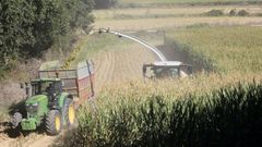 Imagen de archivo de la campa�a de recogida del ma�z