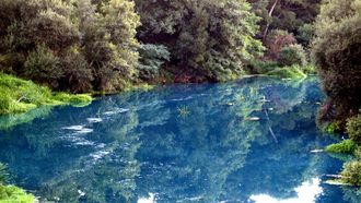 Aguas del r�o Umia de color turquesa a consecuencia del vertido contaminante de Brenntag.